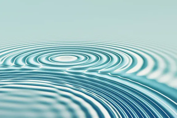 BetBeard Casino Soporte